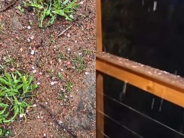 VIDEO: registran caí...