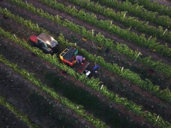 National Geographic, mapa del vino, maldonado,