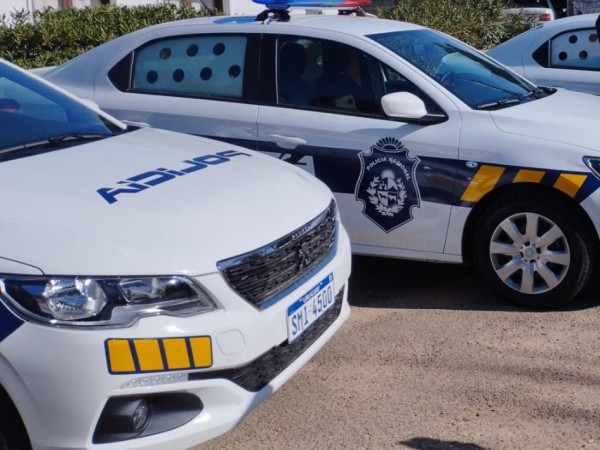 hurto, detención, condena