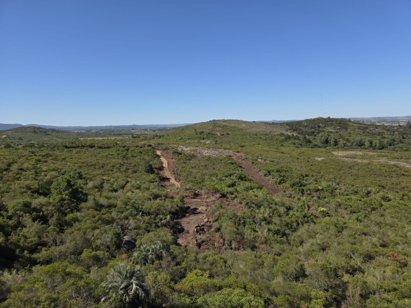 Desarrolladores llev...