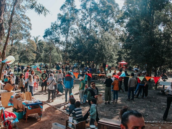 Festival de Jazz en el Bosque: música y naturaleza se unen en Sauce de Portezuelo