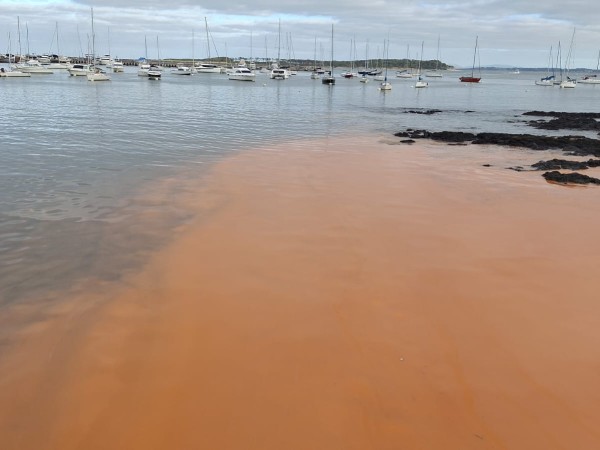 La intendencia exhorta a no zambullirse en zona afectada por coloración del agua mientras monitorea la situación