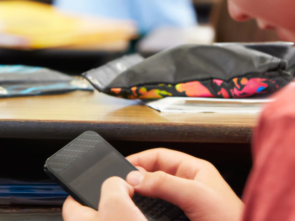 ANEP avanza en regla...