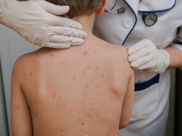 Ministra de Salud al...