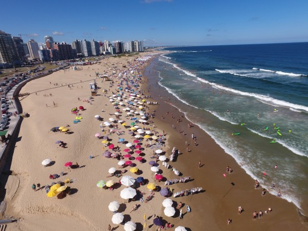 sector,turistico,empresas