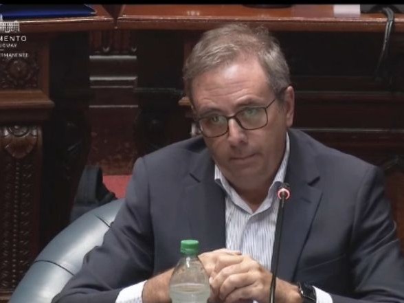 Diputado del Partido...