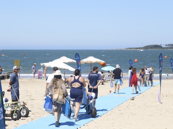 Más de 350 personas por día asistieron al programa Playa Accesible en esta temporada
