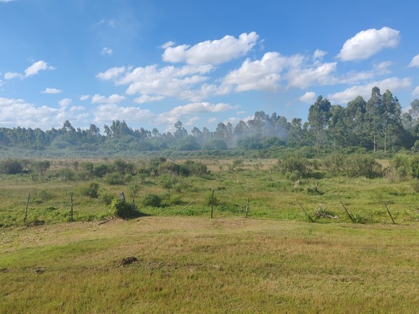 Bomberos controló incendio que afectó un campo de San Carlos