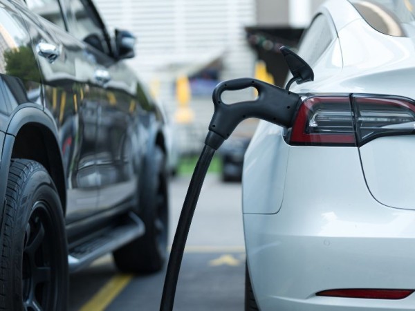 Los estacioneros bus...