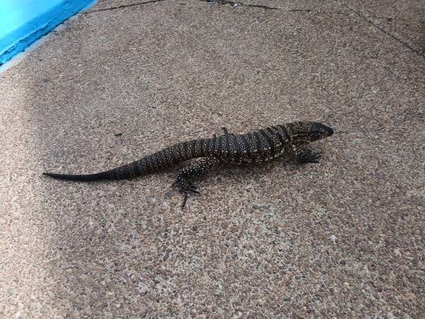 Vecinos advierten po...