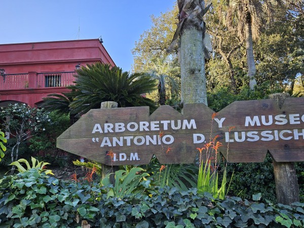 Estas son las actividades durante el mes de diciembre en el Arboretum Lussich