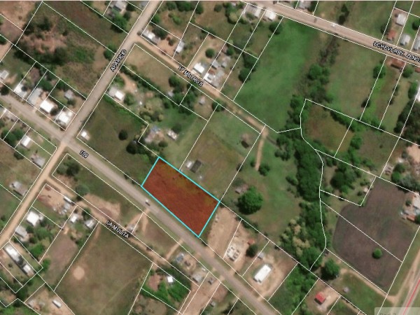 Intendencia ordenó d...