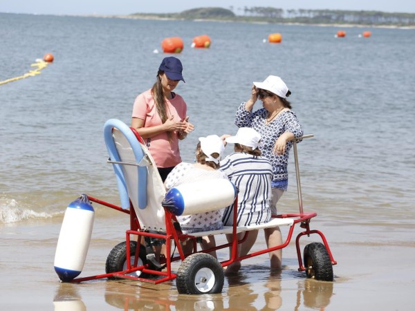 Están abiertas las i...