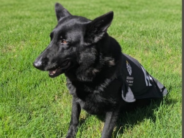 Hombre ausente fue e...