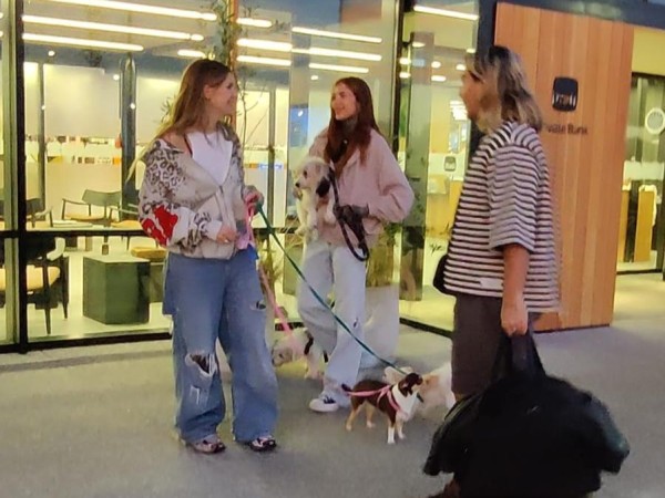 Marcelo Tinelli no v...