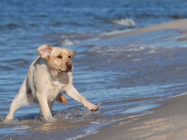 Edil propuso cartele...