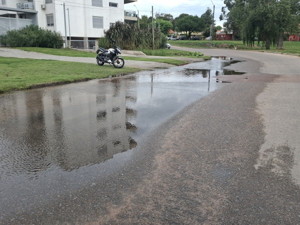 Vecinos denuncian in...