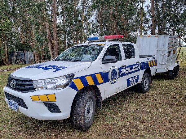 Uruguay redujo 50 % los robos de ganado desde la creación de la Dirección Nacional de Seguridad Rural