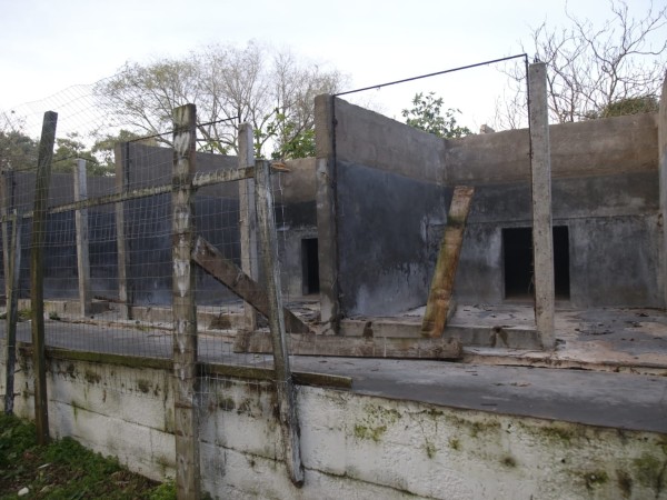 “En menos de un mes pudimos dar en adopción a más de 90 perros, fue algo sumamente milagroso”, dijo integrante de ONG tras cierre de la Protectora de Animales