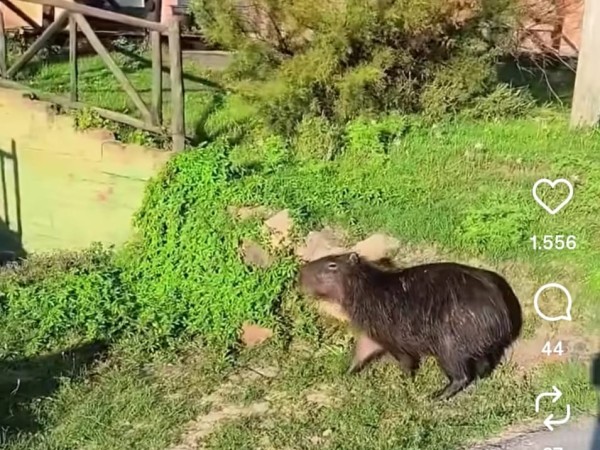 Una visita particula...