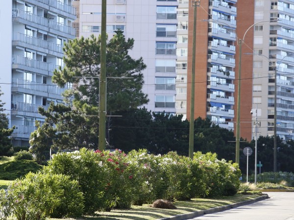 Contribución Inmobil...