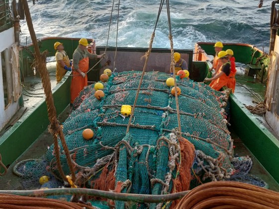 “En el sector de la pesca hay falta de libertad para trabajar”, aseguró empresario del rubro en medio del conflicto