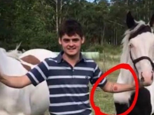 Apareció en San Pabl...