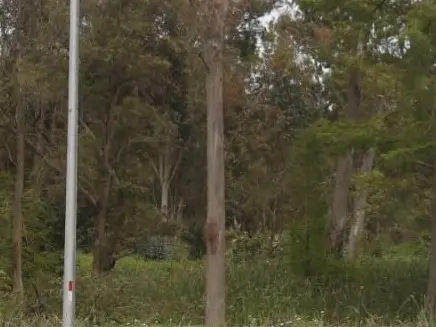 Denunciaron un presu...