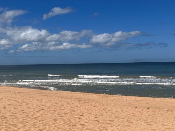 Ministerio de Ambien...