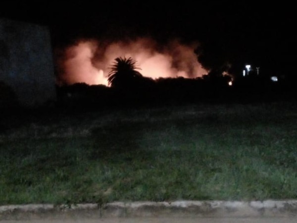 Incendio afectó vari...