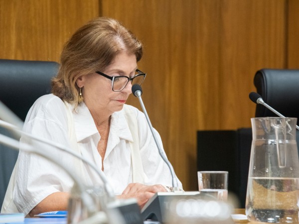 Mary Araújo señaló q...