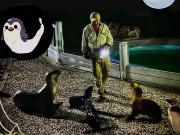 SOS Rescate de Fauna Marina celebra Halloween bajo el lema “Terror en nuestros Océanos”