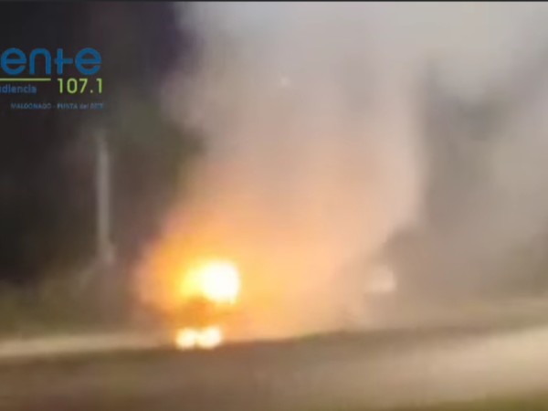 Un auto se prendió fuego y movilizó a Bomberos