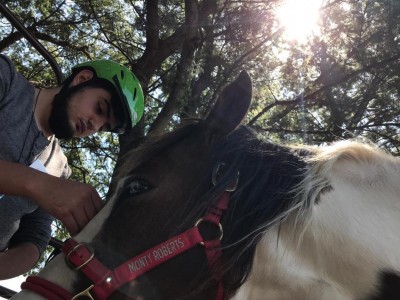 Director de Bienestar con Caballos aseguró que las jineteadas "son un tema político"; muchos animales mueren en el interior y "no se sabe", dijo