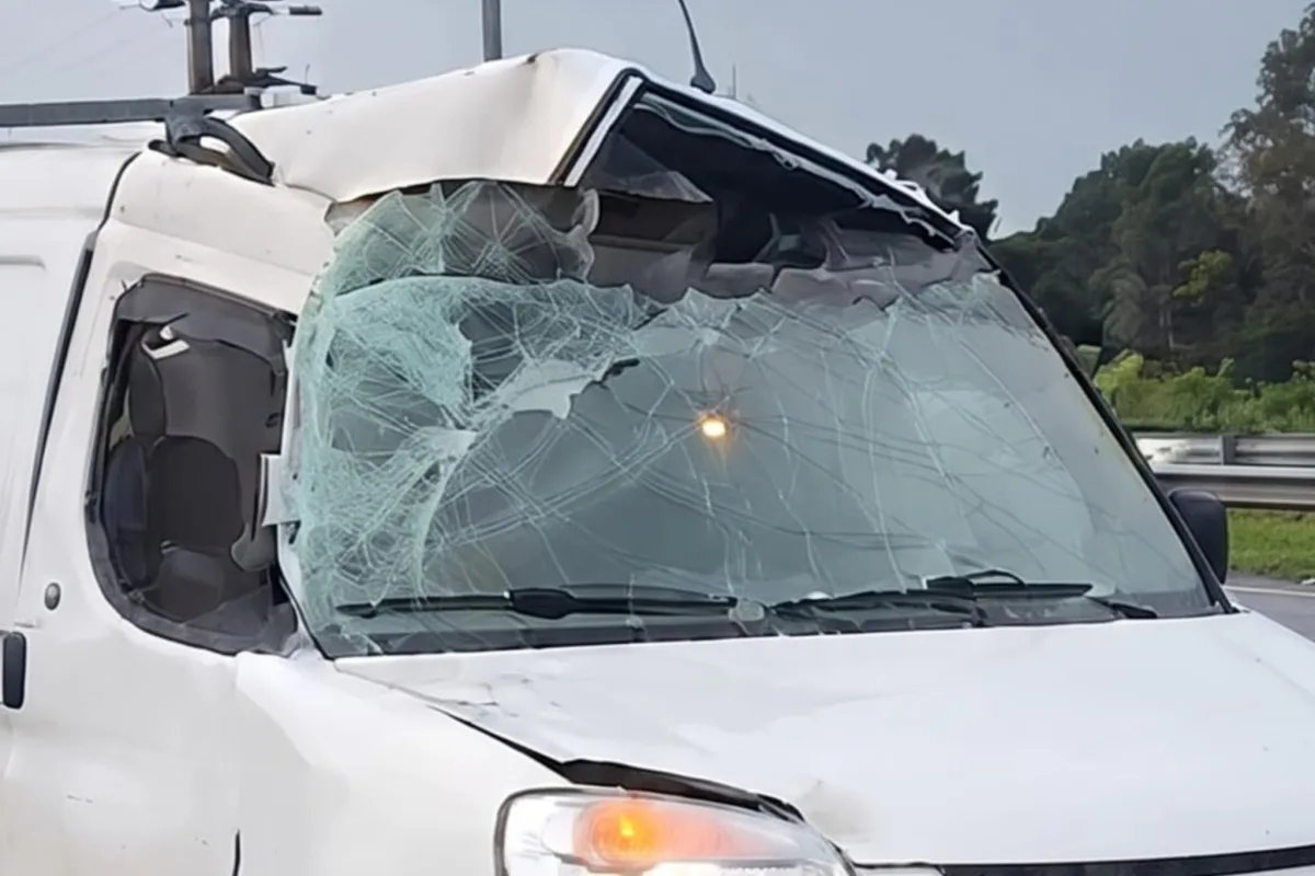Camioneta despistó e...