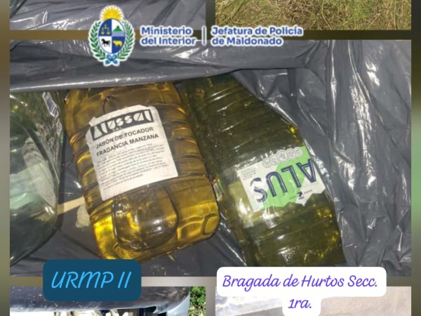 Robaba combustible d...