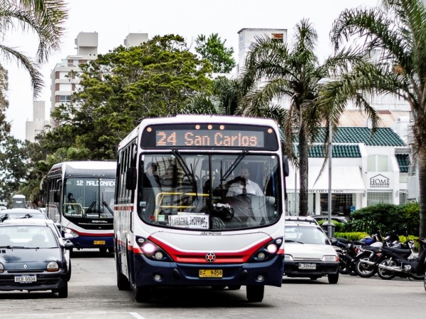 La empresa de transporte Codesa tendrá servicio especial este feriado del 25 de agosto