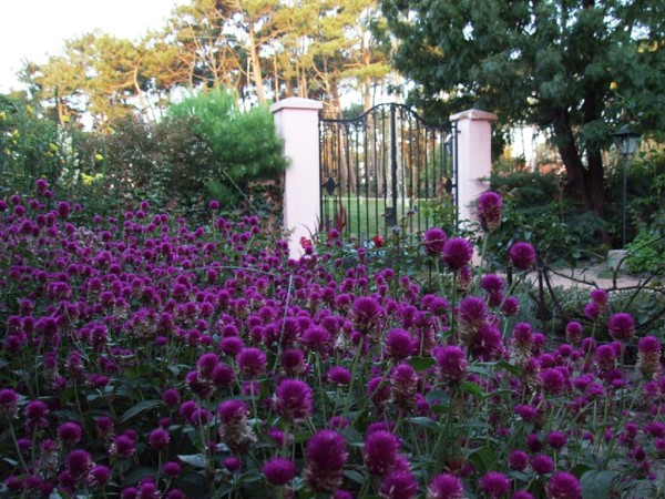 Música clásica, tang...