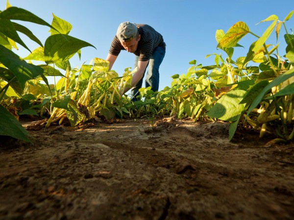 ministerio de ganadería, emergencia hídrica, productores agropecuarios,