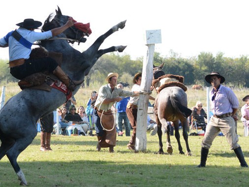 Llega 9º Festival Criollo a los Talas a beneficio de escuelas rurales