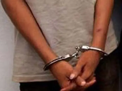 Detuvieron presunto...