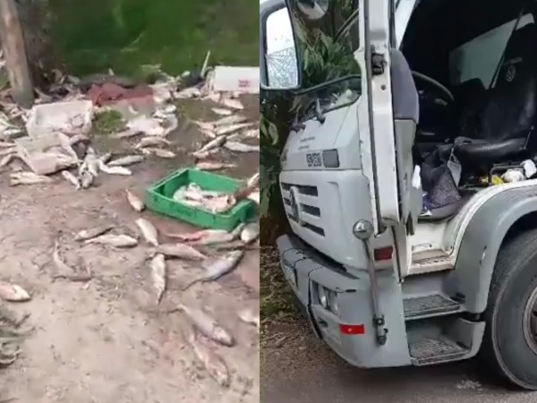Camión perdió los fr...