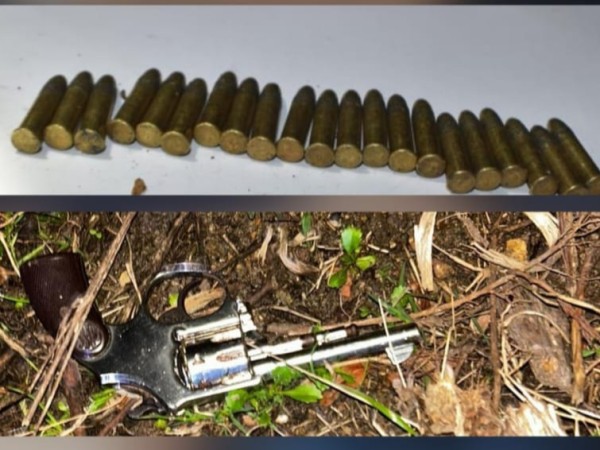 Notó la presencia policial y arrojó un arma de fuego a un campo; irá a prisión