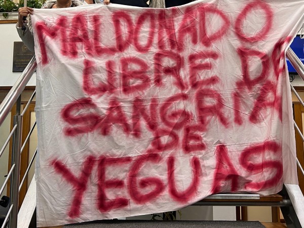 Maldonado libre de sangría de yeguas: Junta Departamental aprobó por unanimidad el proyecto de decreto