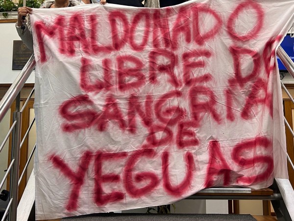 maldonado, libre de sangria de yeguas, frente amplio,