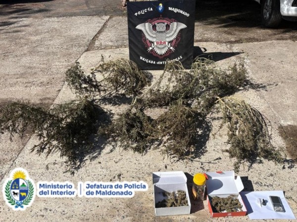 Fue a prisión un hombre que vendía drogas a través de redes sociales
