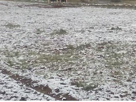 Meteorólogo anunció “nevada débil” para la zona de las sierras de Maldonado