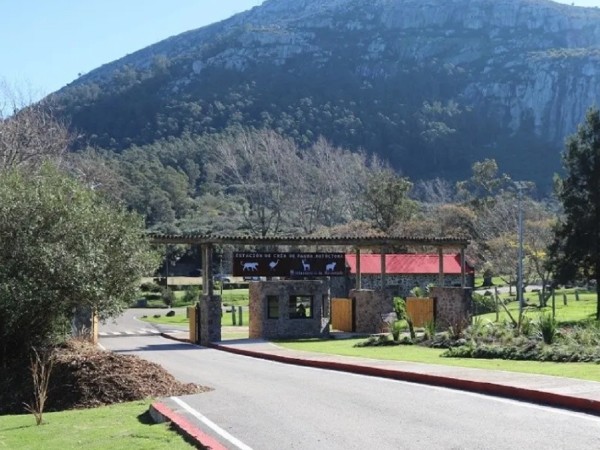 Intendencia de Maldo...