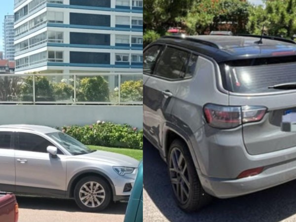 Cayó el presunto aut...