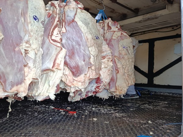 Intendencia incautó más de 2000 kilos de carne: la transportaban a 19° cuando debían estar a -7°